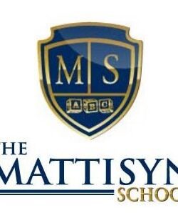 Mattisyn School