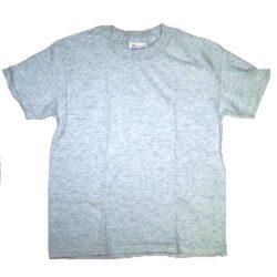 P.E. Shirt - New Horizons