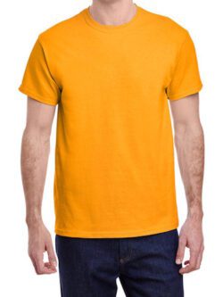 P.E. Shirt - Meyer