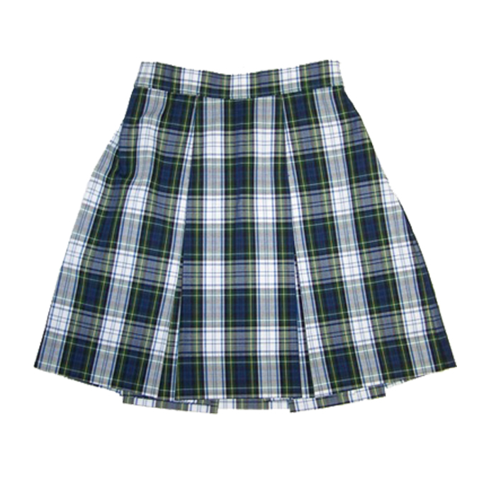 Checkered skirt on sale school