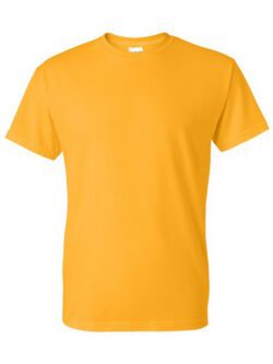 P.E. Shirt Drifit - Veritas